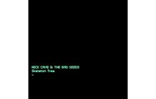 Nick Cave & The Bad Seeds ‎– Skeleton Tree ( Winyl LP ) Salon Poznań