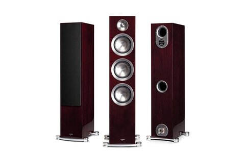 Paradigm Prestige 85F HGL Kolumna Podłogowa