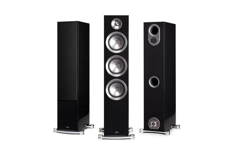Paradigm Prestige 85F HGL Kolumna Podłogowa