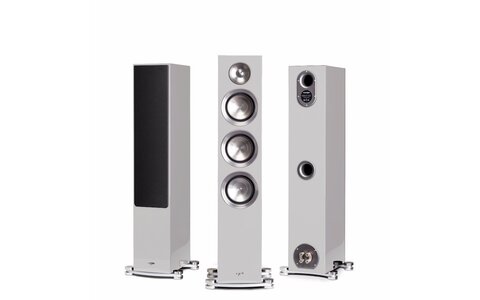 Paradigm Prestige 75F HGL Kolumna Podłogowa
