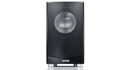 Canton AS 84.2 SC Subwoofer