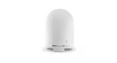 Focal Dome SUB Subwoofer