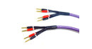 Melodika MDBA41530 Kable Głośnikowe Purple Rain