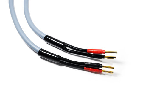 Melodika MDSC2550G Gunmetal Kable Głośnikowe Purple Rain