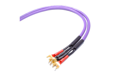 Melodika MDSC2560s Kable Głośnikowe Purple Rain