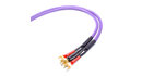 Melodika MDSC2550s Kable Głośnikowe Purple Rain 