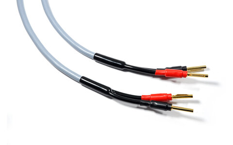 Melodika MDSC1540G Gunmetal Kable Głośnikowe Purple Rain