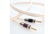 QED Signature C-XT400/50 X Tube 400 Kabel Głośnikowy Salon Poznań Wrocław