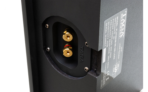 Kolumna Instalacyjna Ścienna Taga Harmony Platinum IW-100 LCRS Sklep Poznań