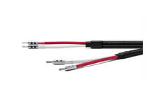 Oyaide ACROSS 3000 B / Y 2 x 2m Kabel głośnikowy Wtyki widełki Salon Poznań Wrocław