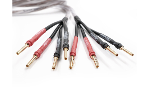 Kable Głośnikowe Bi-Amp 2m Melodika BSBA22525 Brown Sugar z Solid Grip Salon Poznań Wrocław 2