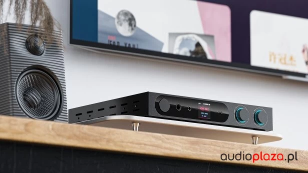 FiiO K19