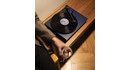 Gramofon z Przedwzmacniaczem Pro-Ject Debut Carbon EVO 2M-RED Niebieski