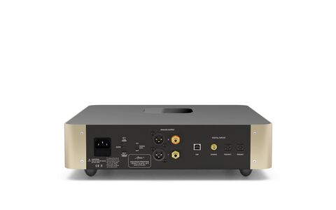 Fezz Audio EVO Equinox Prestige DAC [Sunlight] Tył