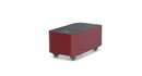 Fezz Audio EVO ARGENTUM X10 Big Calm Bordowy Bok