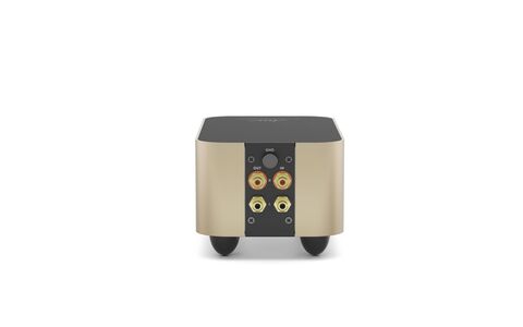 Fezz Audio EVO ARGENTUM X10 Sunlight Złoty Tył