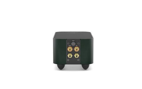 Fezz Audio EVO ARGENTUM X20 Evergreen Zielony Tył