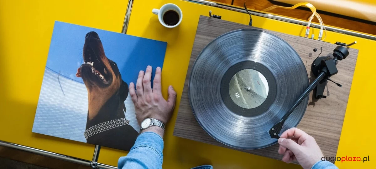 Pro-Ject Debut EVO 2