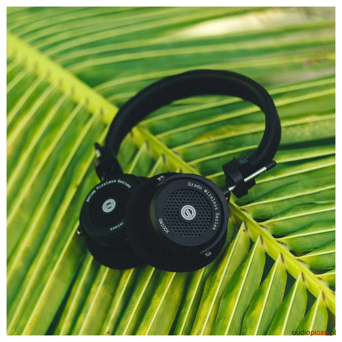 Grado GW100x