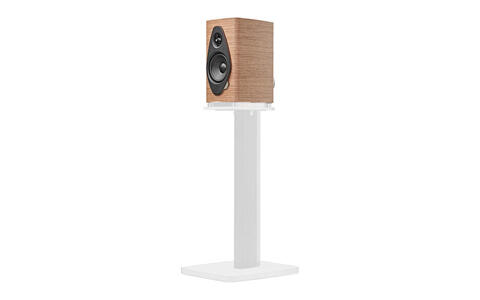 Sonus Faber SONETTO I G2 Wallnut front