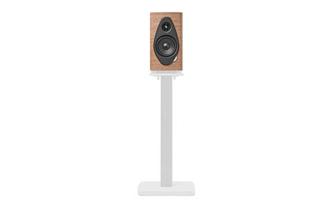 Sonus Faber SONETTO I G2 Wallnut przód