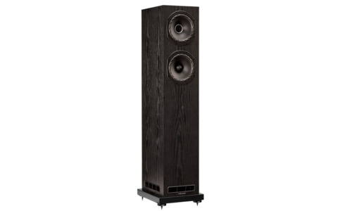 Kolumny Podłogowe Fyne Audio F501E Czarna