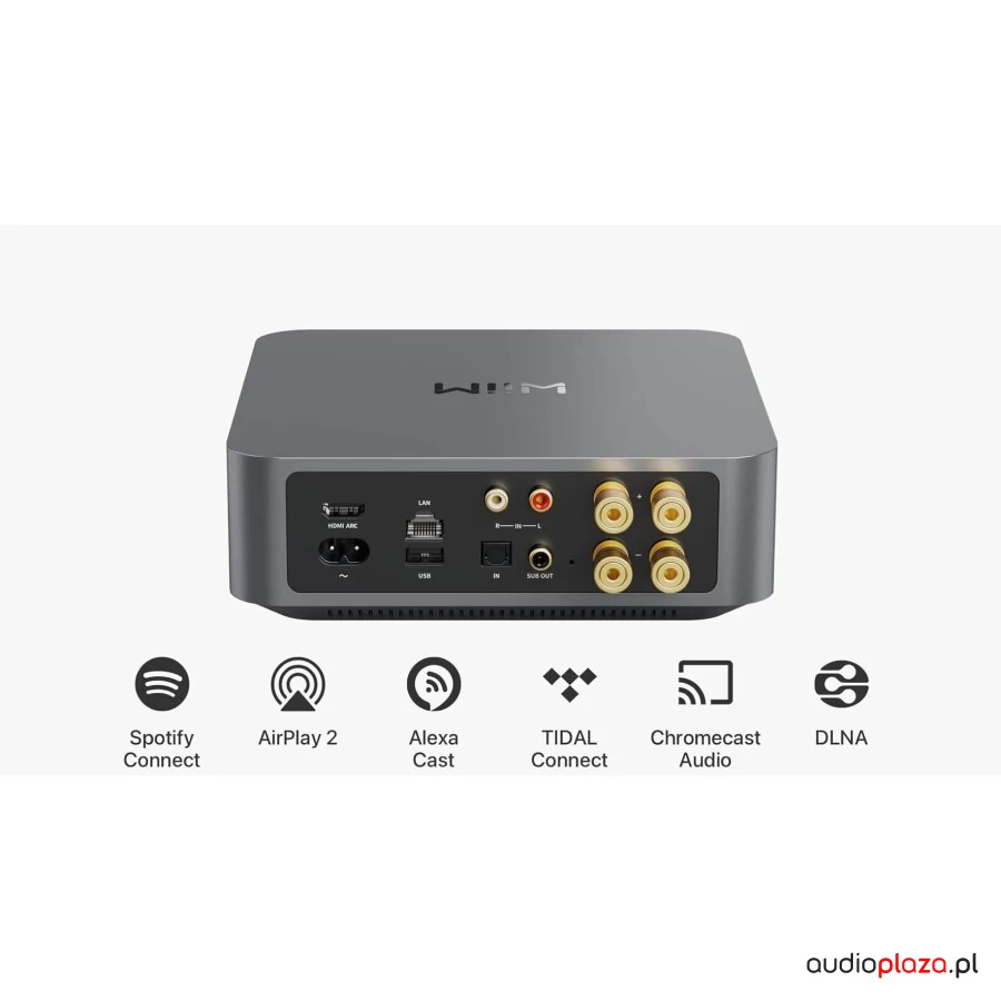 WiiM Amp Pro