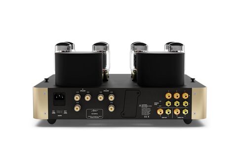 Fezz Audio Olympia EVO Sunlight Złoty Lampowy Wzmacniacz Stereo tył