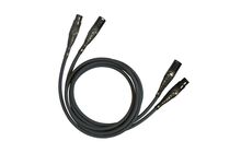 Cardas Iridium Interconnect XLR 1.5m Kabel XLR Salon Poznań Wrocław