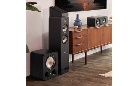 Subwoofer Polk Audio Signature Elite ES10