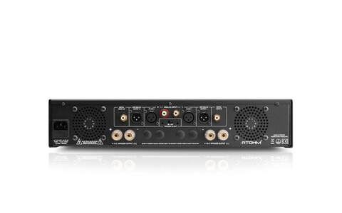 Wzmacniacz Zintegrowany Waterfall Audio RS700 Special Edition