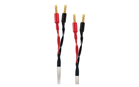 Zakonfekcjonowany Kabel Głośnikowy Wireworld Luna 10 LUS 2,5m