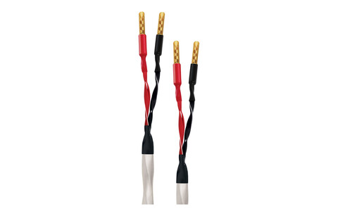 Zakonfekcjonowany Kabel Głośnikowy Wireworld Solstice 10 SOS 2,0m