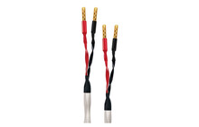 Wireworld Solstice 10 SOS 3,0m Zakonfekcjonowany Kabel Głośnikowy Salon Poznań Wrocław