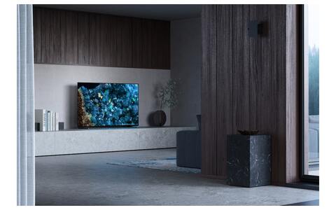 Monitor Profesjonalny OLED 4K Sony FWD-65A80L