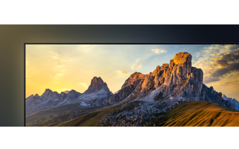 Monitor Profesjonalny Mini Led 4K Sony FWD-65XR70