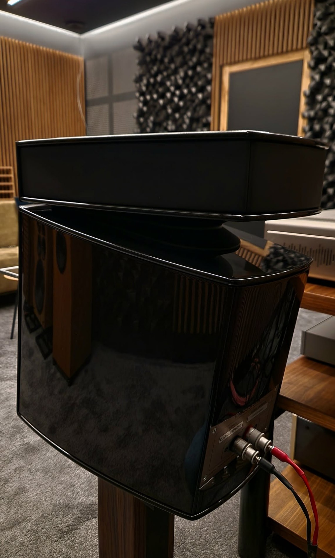 Focal Diablo Utopia EVO